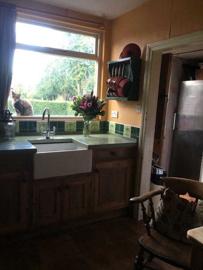 Brackenberry Hotell Belfast Eksteriør bilde